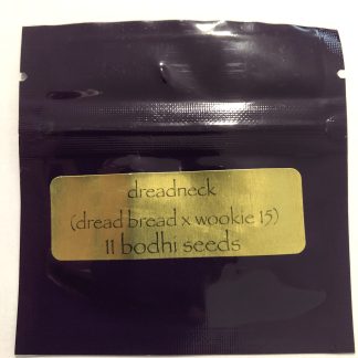 Dreadneck ( Dread Bread x Wookie 15)
