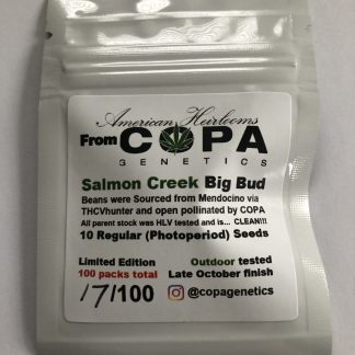 Salmon Creek Big Bud