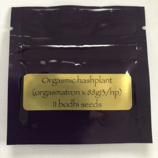 Orgasmic Hashplant <br> (Orgasmatron X 88g13/hp)