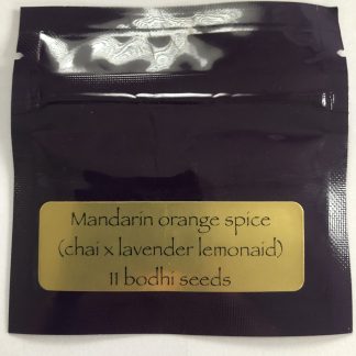 Mandarin Orange Spice <br> (Chai X Lavender Lemonaid)