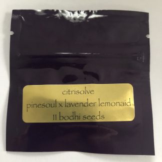 Citrisolve <br> (Pinesoul x Lavender Lemonaid)