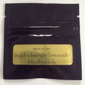 Sun Rider <BR> (togkb X Lavender Lemonaid)