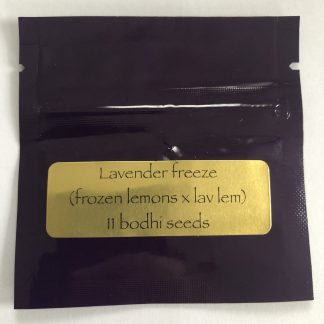 Lavender Freeze <br> (Frozen Lemons X Lavender Lemonaid)