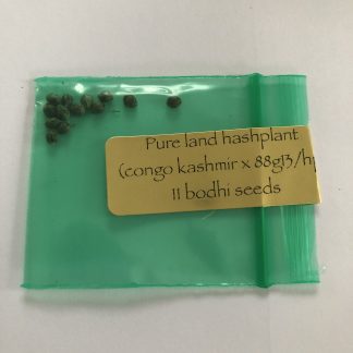 *Freebie Listing* Pure Land Hashplant