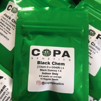 Black Chem <br> [(Chem D x GG4(R)) x Black Domina 1-4