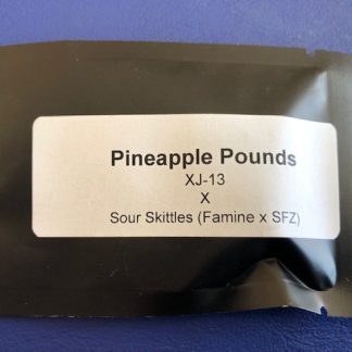 Pineapple Pounds <br>XJ-13 X Sour Skittles (Famine x SFZ)
