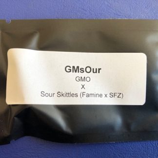 GMsOur <br> GMO X Sour Skittles (Famine x SFZ)