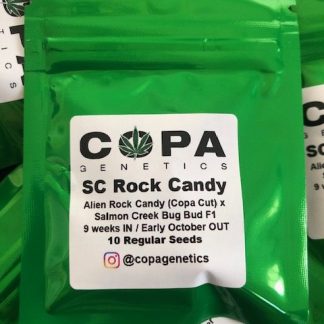 Salmon Creek Rock Candy <br> (Alien Rock Candy (Copa Cut) X Salmon Creek Big Bud F1)