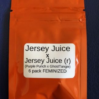 Jersey Juice X Jersey Juice (r) (Purple Punch X GhostTangie)