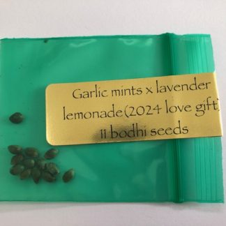 *FREEBIE LISTING* Garlic Mints x Lavender Lemonade