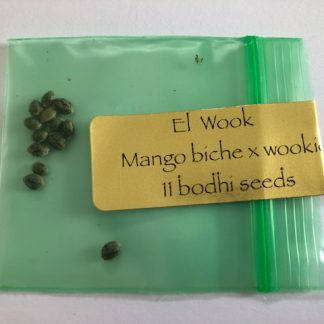*FREEBIE LISTING* El Wook <br> (Mango Biche Colombian x Wookie 15)