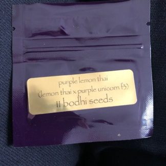 Purple Lemon Thai <br> (Lemon Thai x Purple Unicorn F3)