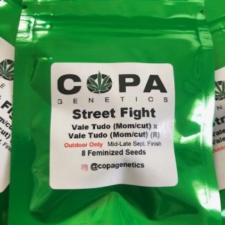 Street Fight <br> (Vale Tudo (Mom/Cut) X Vale Tudo (Mom/Cut(R)