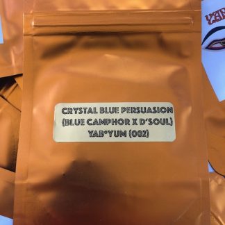 Crystal Blue Persuasion <br> (Blue Camphor x D'Soul)<br> YabYum 002 