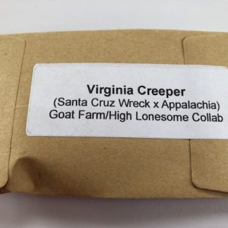 Virginia Creeper <br> (Santa Cruz Wreck x Appalachia)