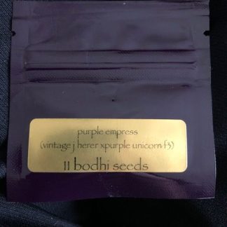 Purple Empress <br> (Vintage jack Herer x Purple Unicorn F3)