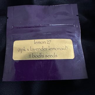lemon 27 <br> (Topanga canyon pure kush x Lavender Lemonaid)