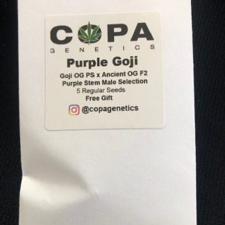 ***Freebie Listing*** Purple Goji <br> (Goji OG (Purple Stem) X Ancient OG F2)