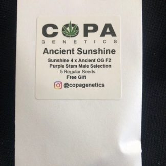 ***Freebie Listing*** Ancient Sunshine <br> (Sunshine 4 X Ancient OG F2)