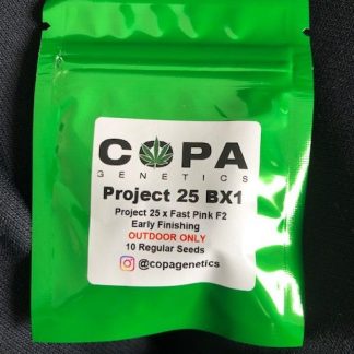 Project 25 Bx1 <br> (Project 25 x Fast Pink F2)