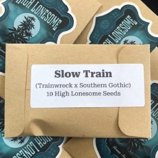 Slow Train <br> (Trainwreck x Southern Gothic)