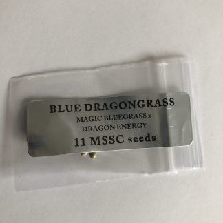 Blue Dragon Grass <br> (Magic Bluegrass X Dragon Energy)
