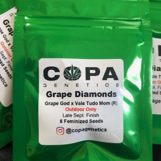 Grape Diamonds <br> (Grape God X Vale Tudo Mom (R)