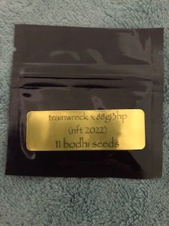 Trainwreck x 1988 G13 Hashplant