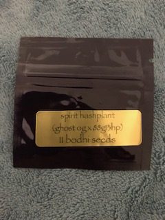Spirit Hashplant <br> (Ghost OG x 88g13/hp)