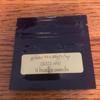 Gelato 41 x 1988 G13 Hashplant