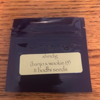 Shindig (Banjo x Wookie15)