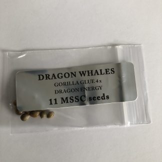 Dragon Whales <br> Gorilla Glue 4 X Dragon Energy
