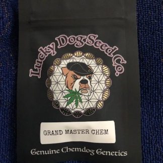 Grand Master Chem <br> (Master Kush x Chemdog 91 Bx3)