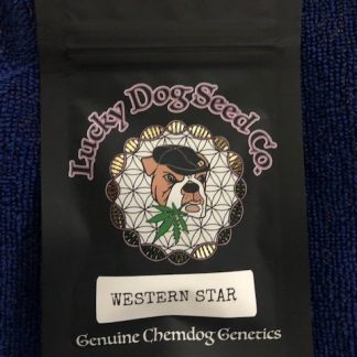 Western Star <br> (Chemdog 91 x Sour Diesel Bx2) x Chemdog 91 Bx2
