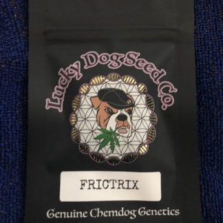 Frictrix <br> (Apple Fritter x Chemdog 91 Bx3)