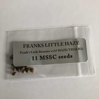 Franks Little Haze <br> Frank's Little Beauties X (A5 Haze/Thai BX)