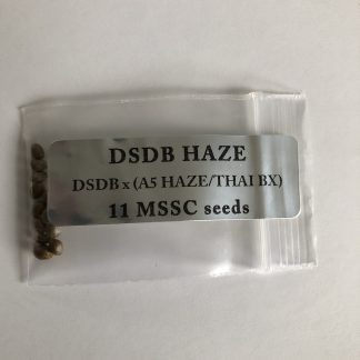 Deep Space DreamBud Haze <br> DSDB x (A5 Haze/Thai BX)