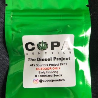 The Diesel Project <br> (AL's Sour D x Project 25 F1)