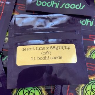 Desert Lime x 1988 G13 Hashplant (nft) <Br> (Desert Lime X 88g13hp)