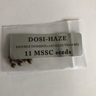 Dosi-Haze <br> Double Dosidos X (A5 Haze / Thai Haze)