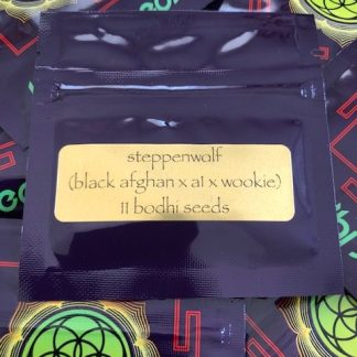 Steppenwolf <br> (Black Afghan X a1 X Wookie)