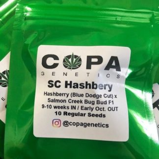 Salmon Creek Hashberry <br> (Hashberry (Blue Dodge Cut) X Salmon Creek Big Bud F1)