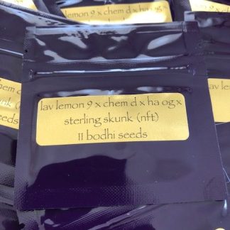 Lavender Lemonade #9 x (Chemdog D x A.S.S.)