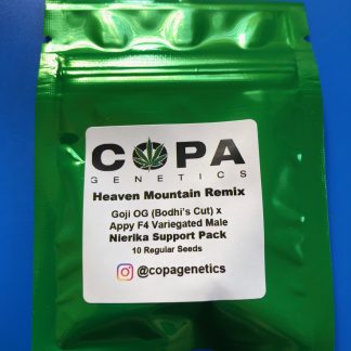 Heaven Mountain Remix <br> (Goji OG (Bodhi's Cut) X Appy F4 Variegated Male