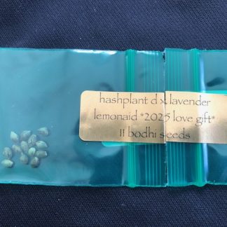 *Freebie Listing* Hashplant D x Lavender Lemonade