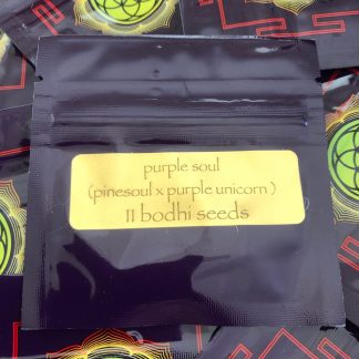 Purple Soul <br> (Pinesoul x Purple Unicorn)