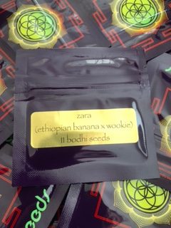 Zara<br> (Ethiopian Banana x Wookie 15)