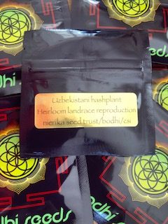 Uzbekistani Hashplant