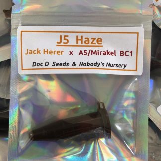 J5 Haze <br> (Jack Herer 10k cut x A5 Haze/Mirakel bc1