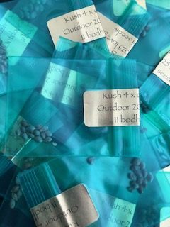 *Freebie Listing* Kush 4 x Old Mother Ghani